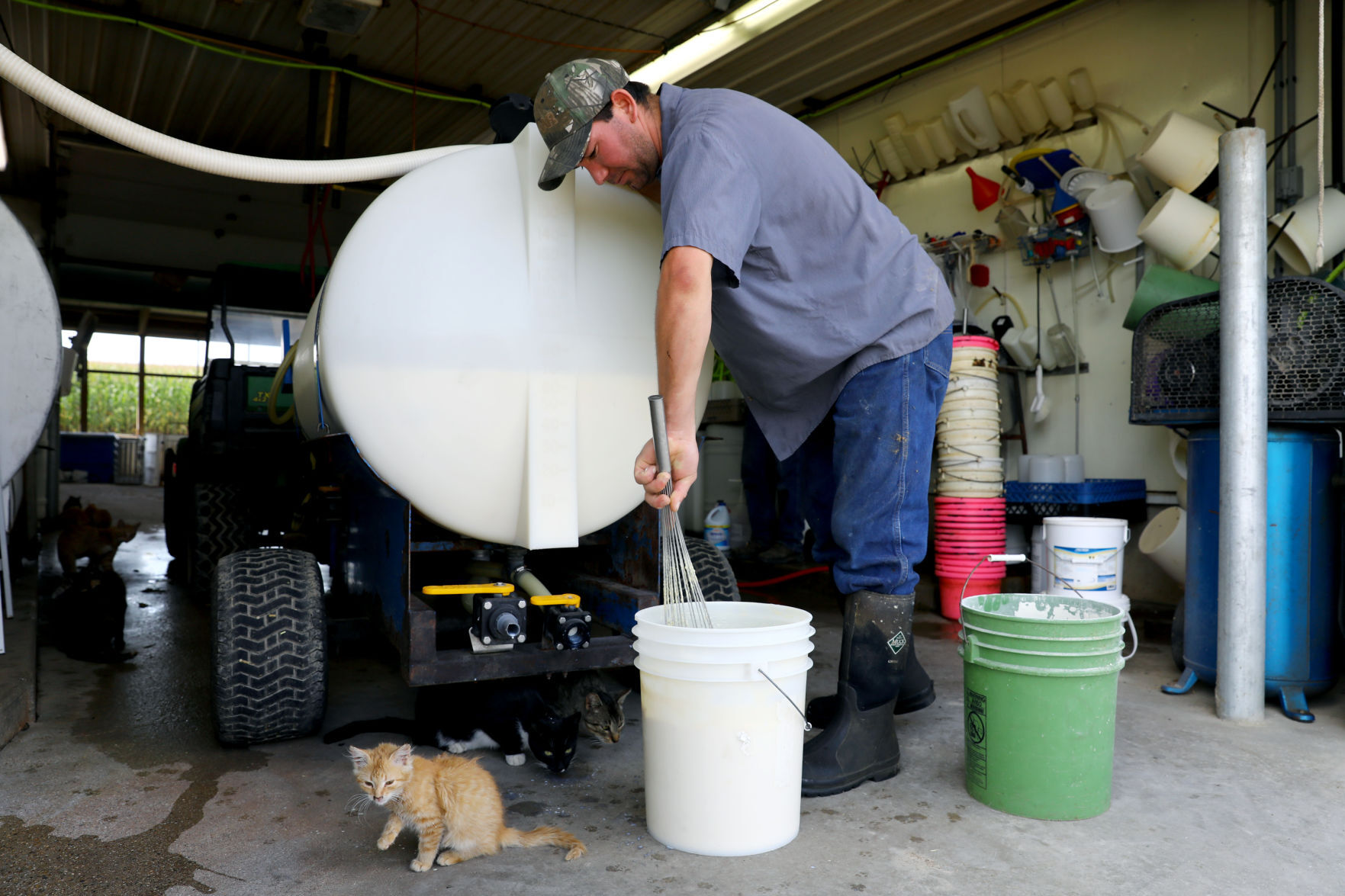 Sergio Rivera cares for the calves at Ripp's Dairy Valley